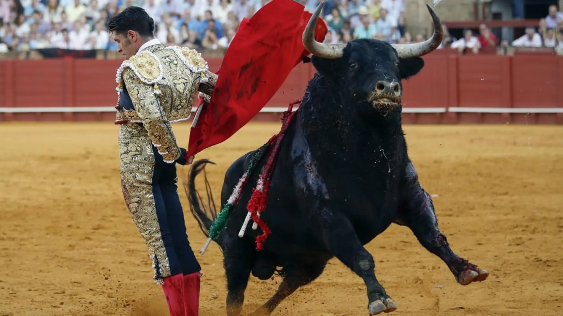 Alejandro Talavante, en la faena con la muleta a su segundo toro de la Feria de San Miguel