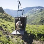 Una vaca sale del teleférico