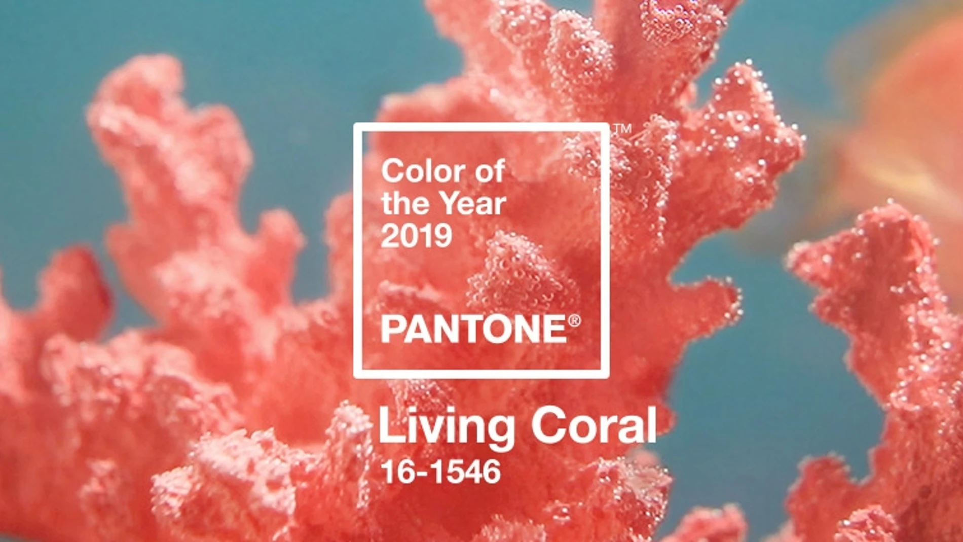 Living Coral: el color oficial del 2019