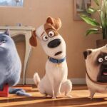 «Mascotas»: Party animals