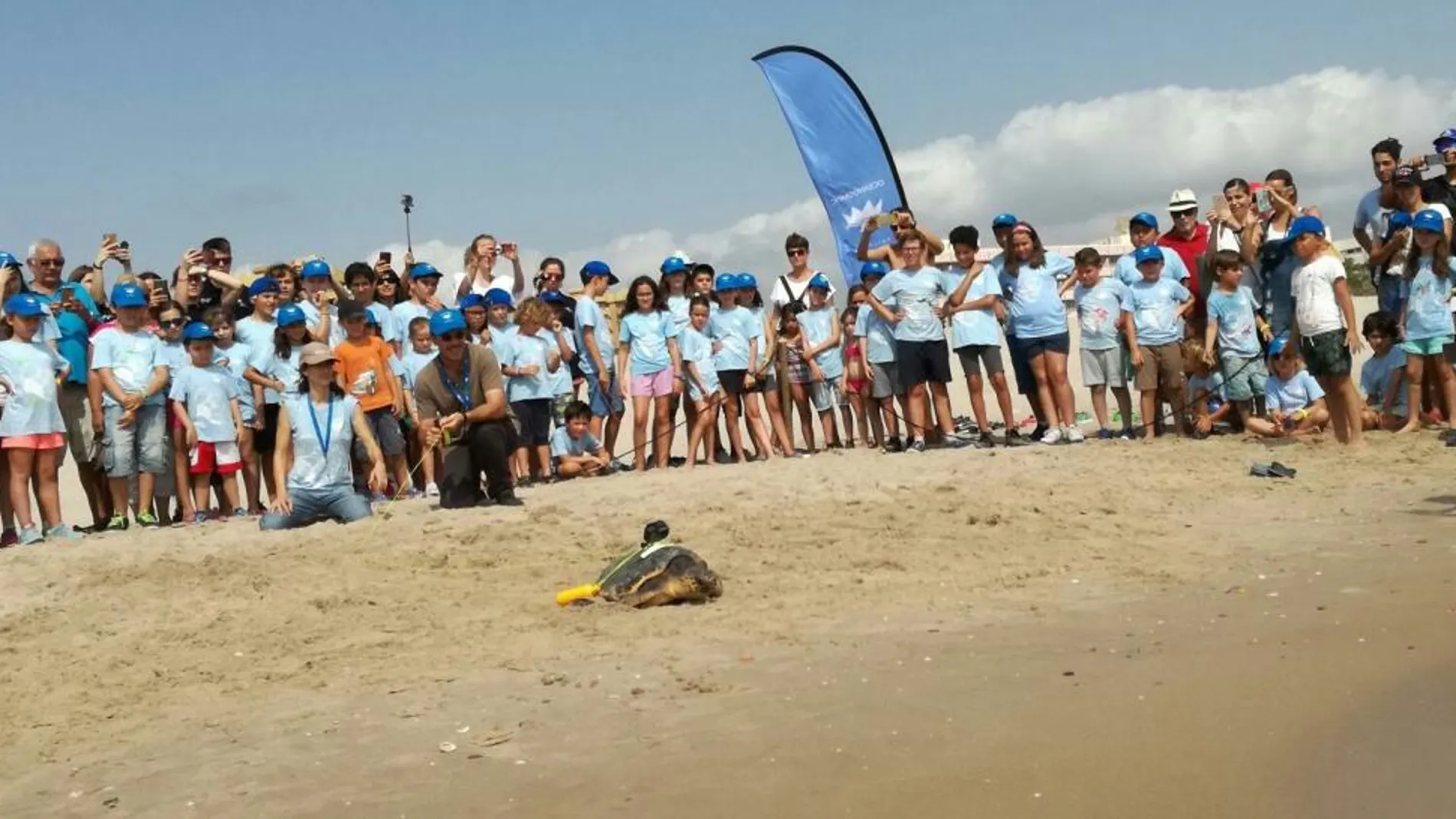 Los niños de la Escuela de Verano del Oceanogràfic presenciando la liberación de la tortuga «Gandia» en El Saler