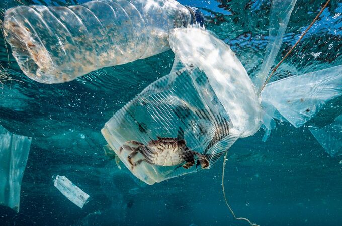 Un cangrejo permanece atrapado en un vaso de plástico en el mar en el Pasaje de Isla Verde en Filipinas / Foto: Efe
