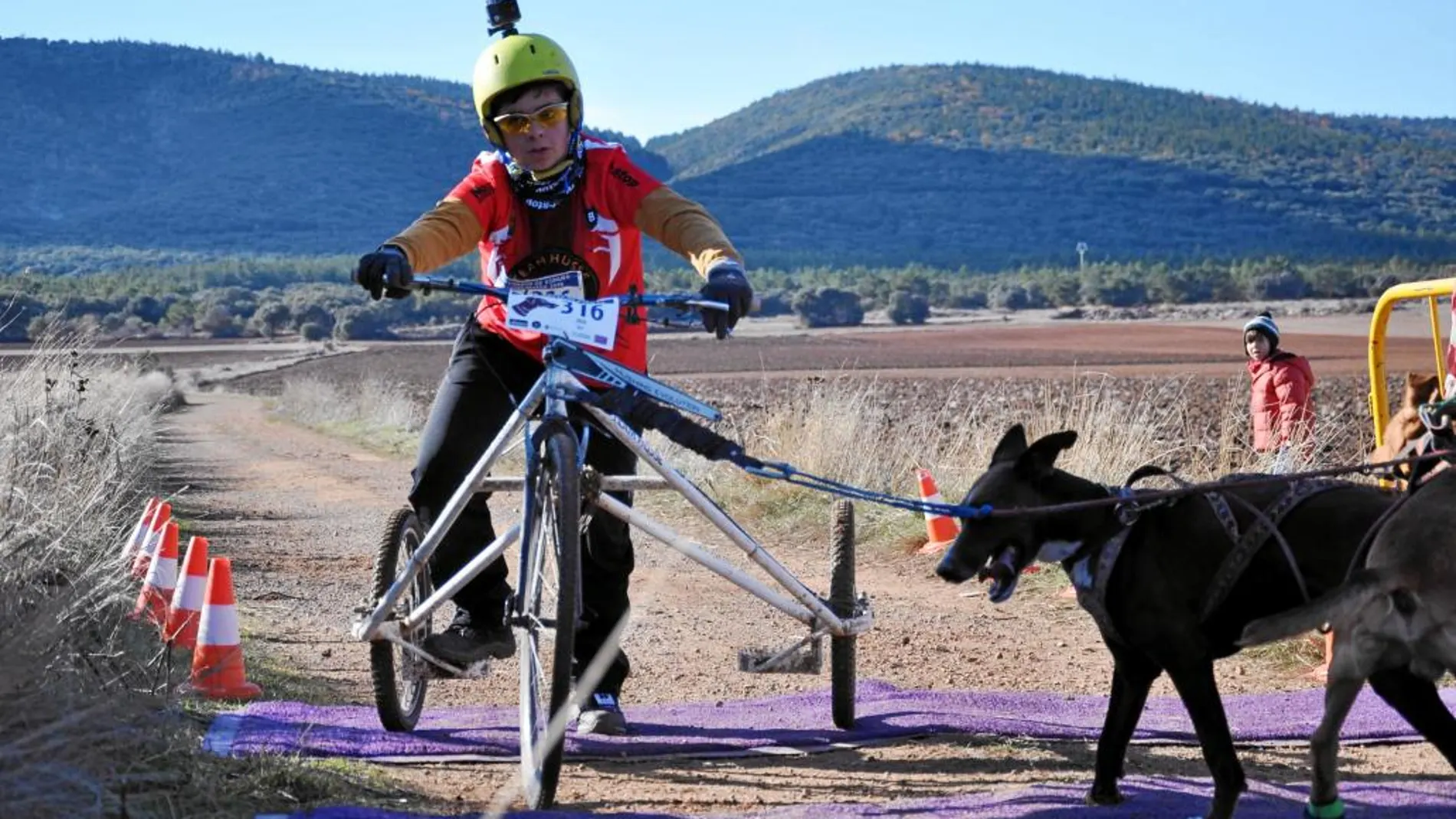 Íker Sáez, campeón de patín sin cadena tirado por dos perros júnior