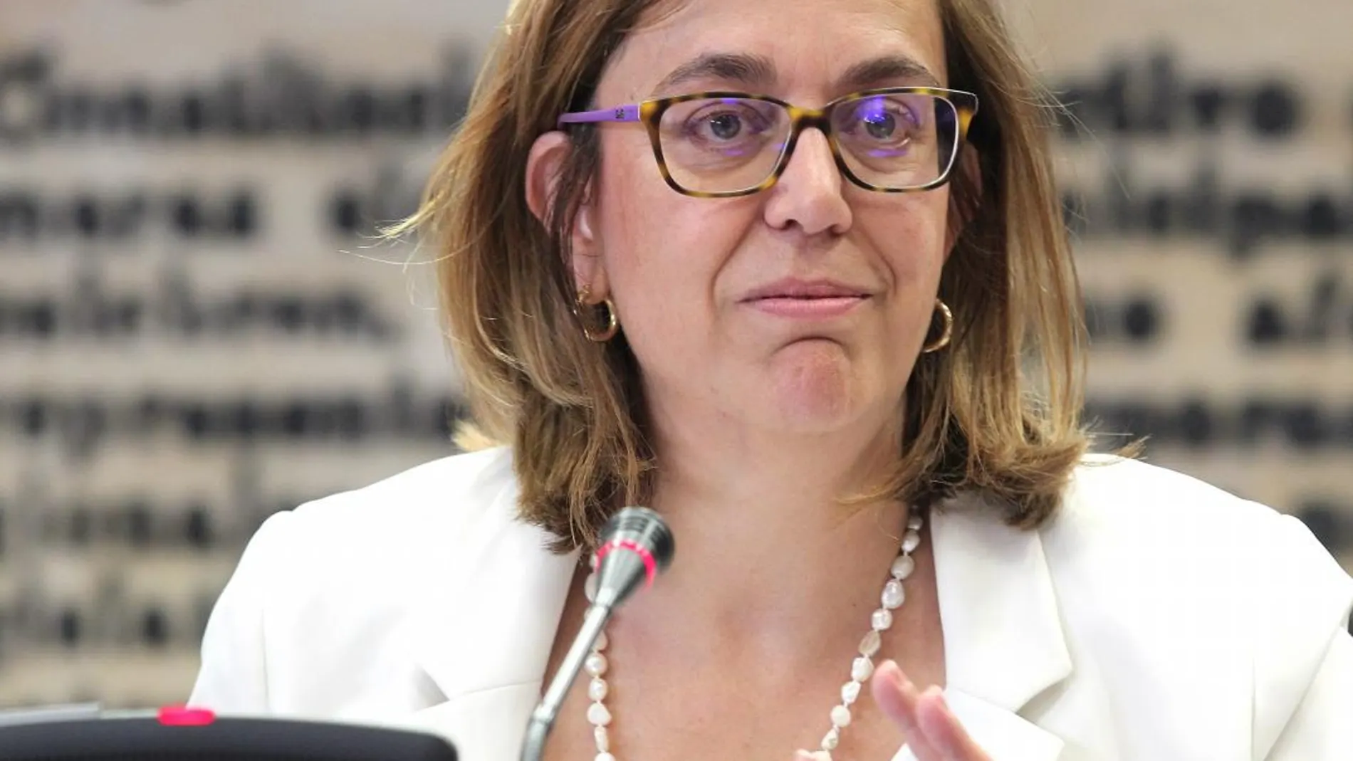 La presidenta de la institución palentina, Ángeles Armisén, en el Senado