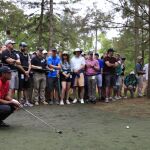 Tiger Wood, midiendo un golpe