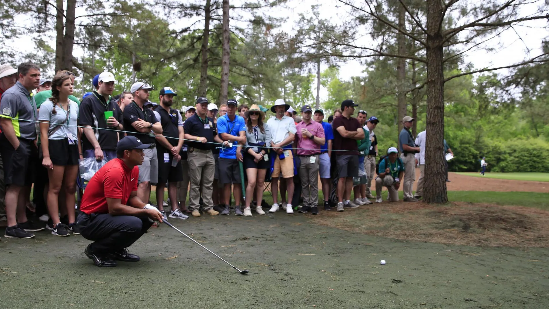 Tiger Wood, midiendo un golpe