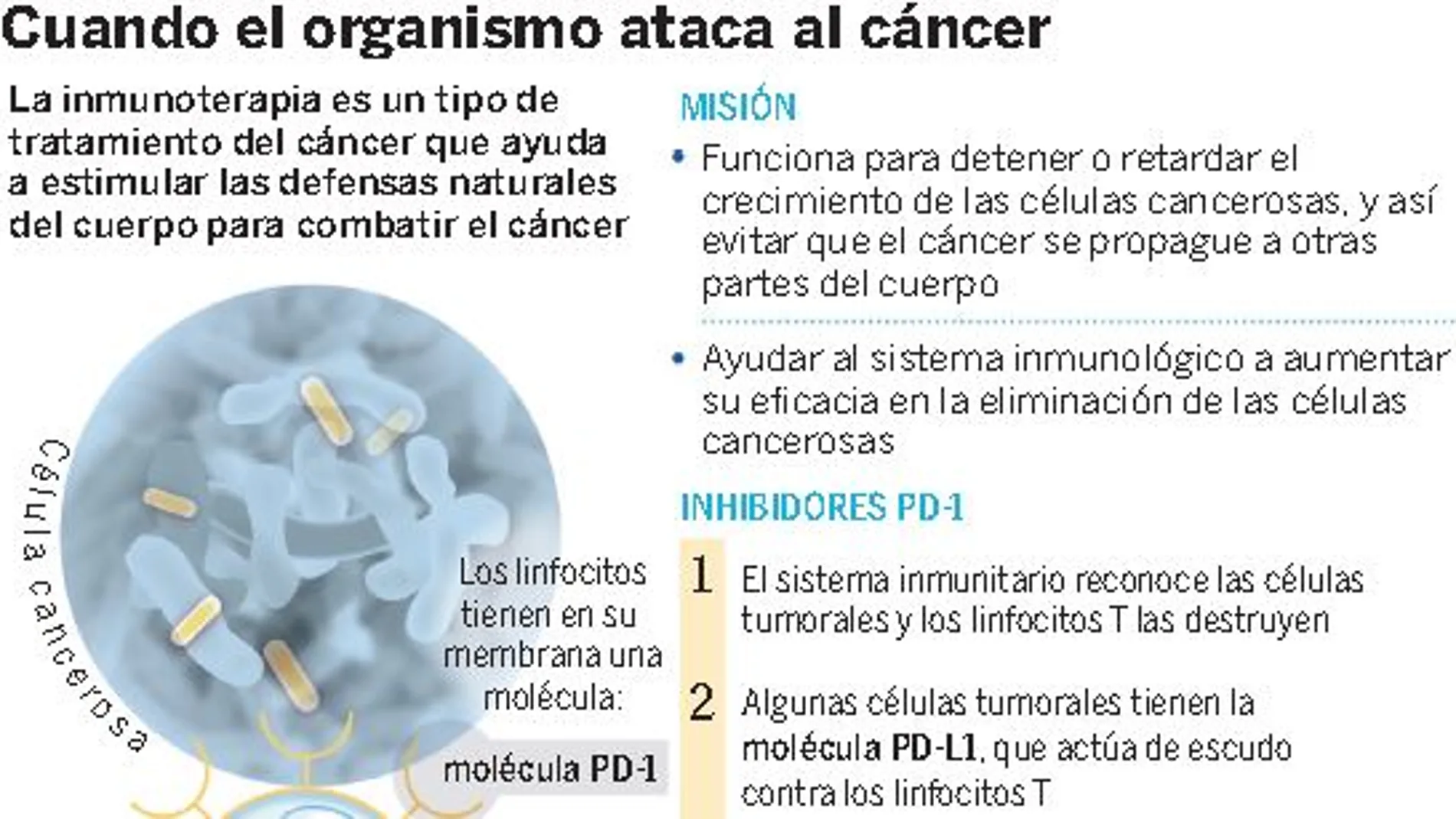 Cautela ante las nuevas inmunoterapias