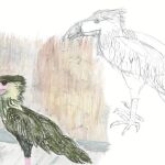 Los dibujos de Leopoldo López corresponden a sus años en la prisión militar de Ramo Verde como los pájaros que observan la naturaleza, estáticos sin alzar el vuelo.