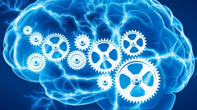 Tenemos un cerebro distinto cada día