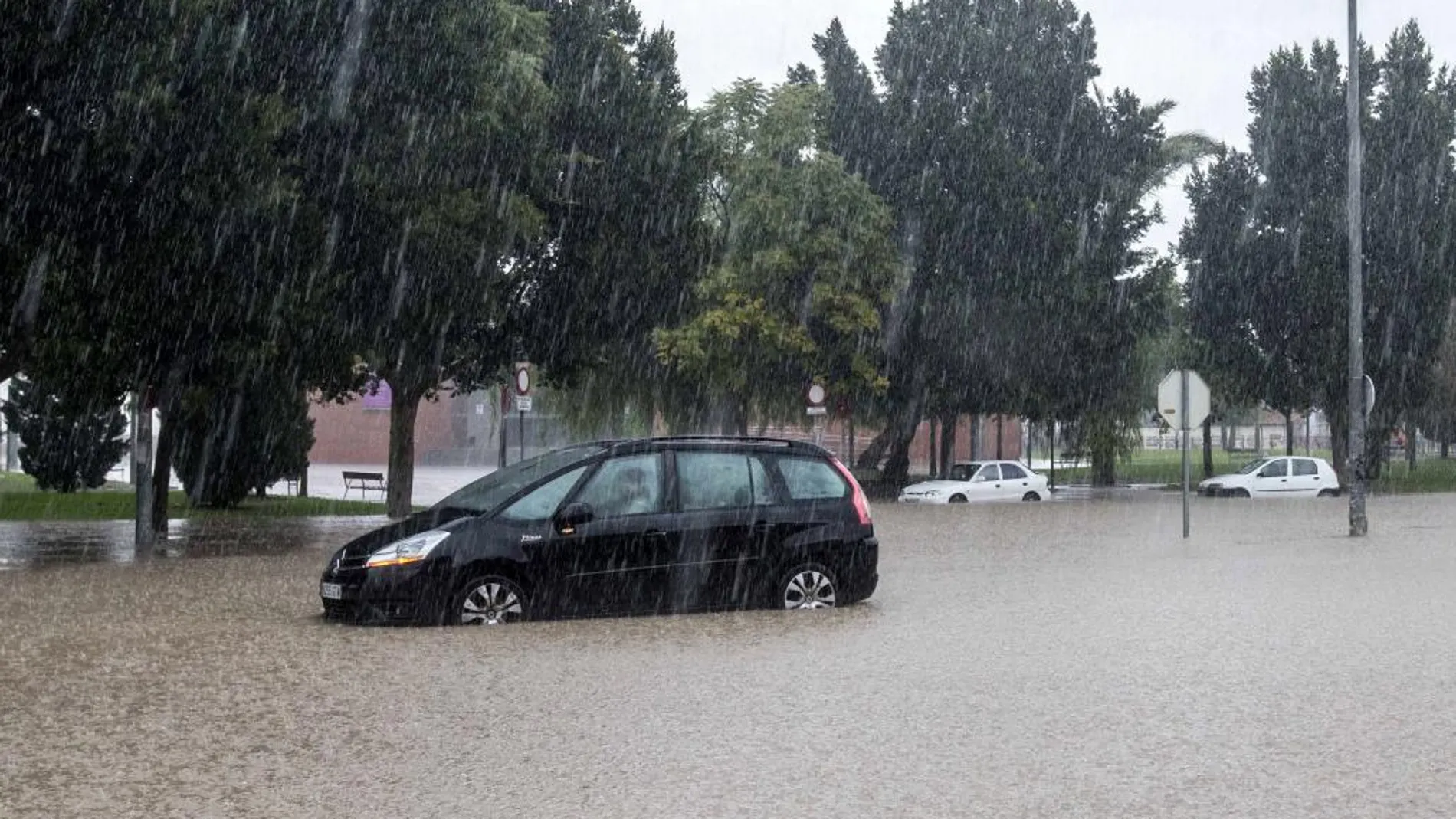 Un vehículo en medio de la intensa lluvia caída esta mañana en la pedanía murciana de la Alberca (Murcia), que ha obligado a cortar distintos viales del municipio de Murcia