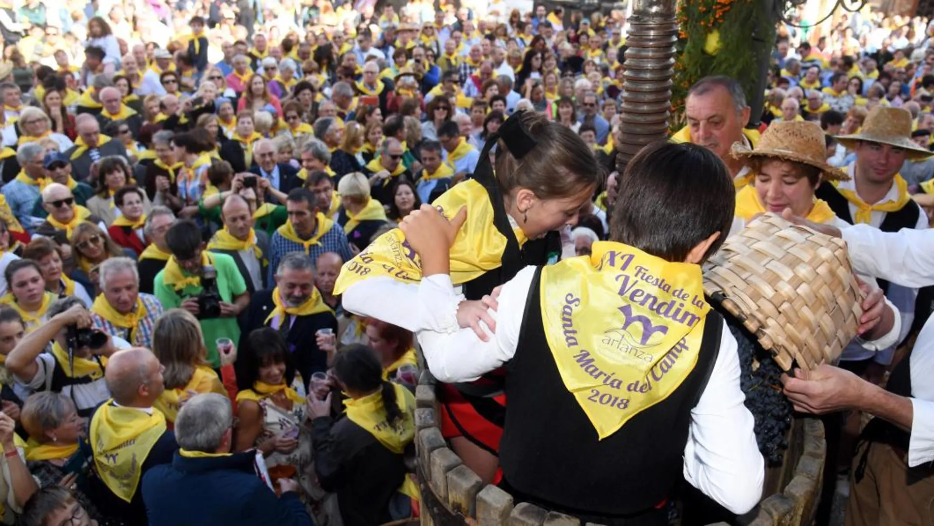 Varios niños pisan el primer mosto de los vinos de la Denominación de Origen Ribera del Arlanza, durante la Fiesta de la Vendimia