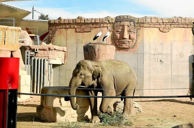 Protección especial para el Zoo de Madrid