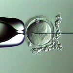 La edad del varón no influye en la calidad del semen ni en los procesos de reproducción asistida