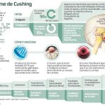 Cushing, la enfermedad que compartimos con nuestras mascotas