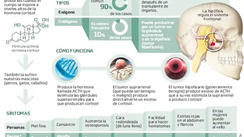 Cushing, la enfermedad que compartimos con nuestras mascotas