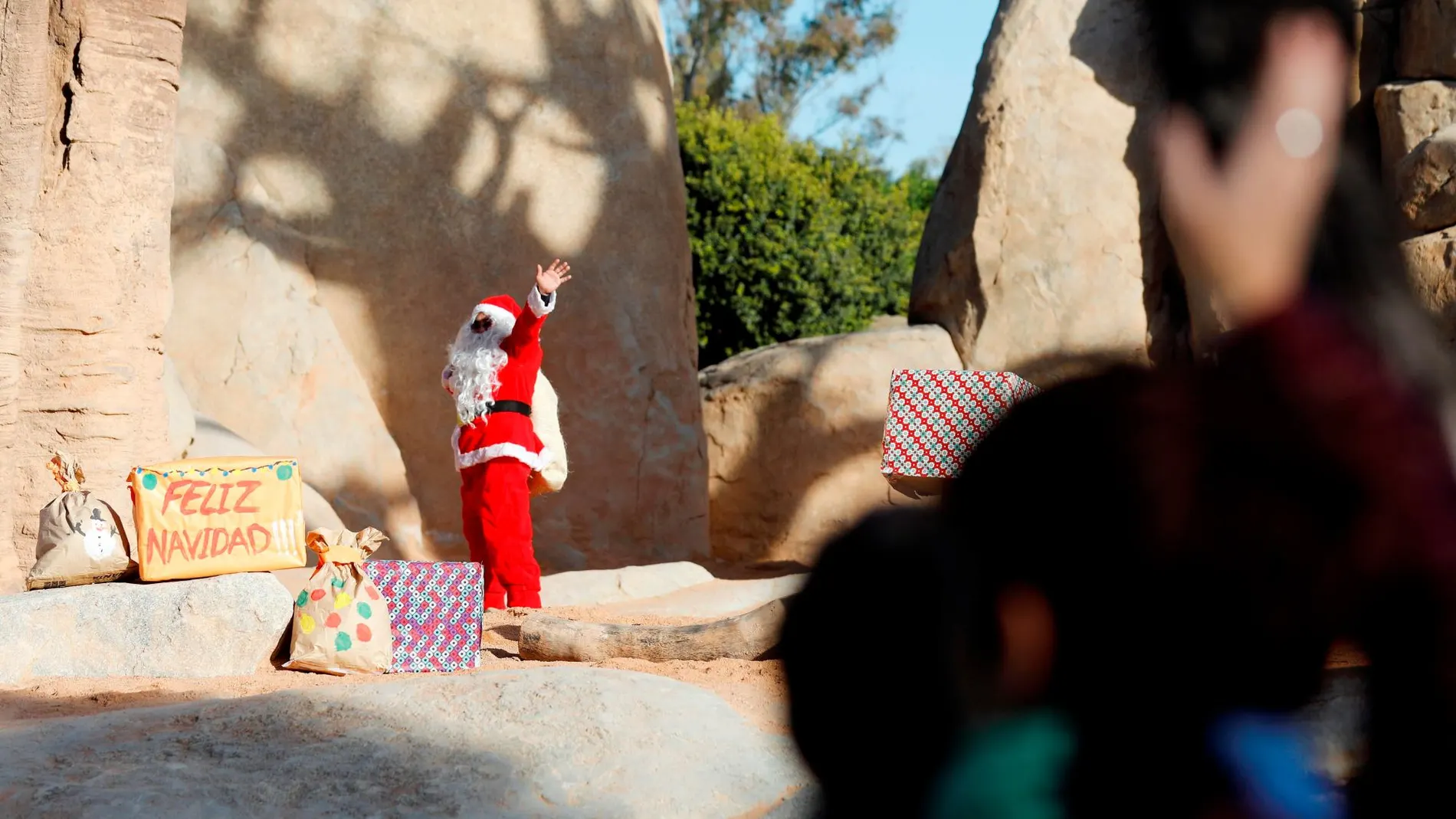 Un hombre vestido de Papá Noel deposita los regalos de navidad en el recinto de los elefantes del Bioparc de València