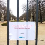 El parque del Retiro tuvo que ser cerrado ayer. Foto: Ayuntamiento de Madrid