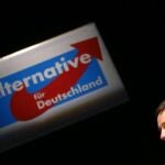 Euroescepticismo a la alemana