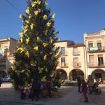 Plaça de la Vila de Amer, pueblo de Carles Puigdemont, presidida por un abeto decorado sólo con lazos amarillos.