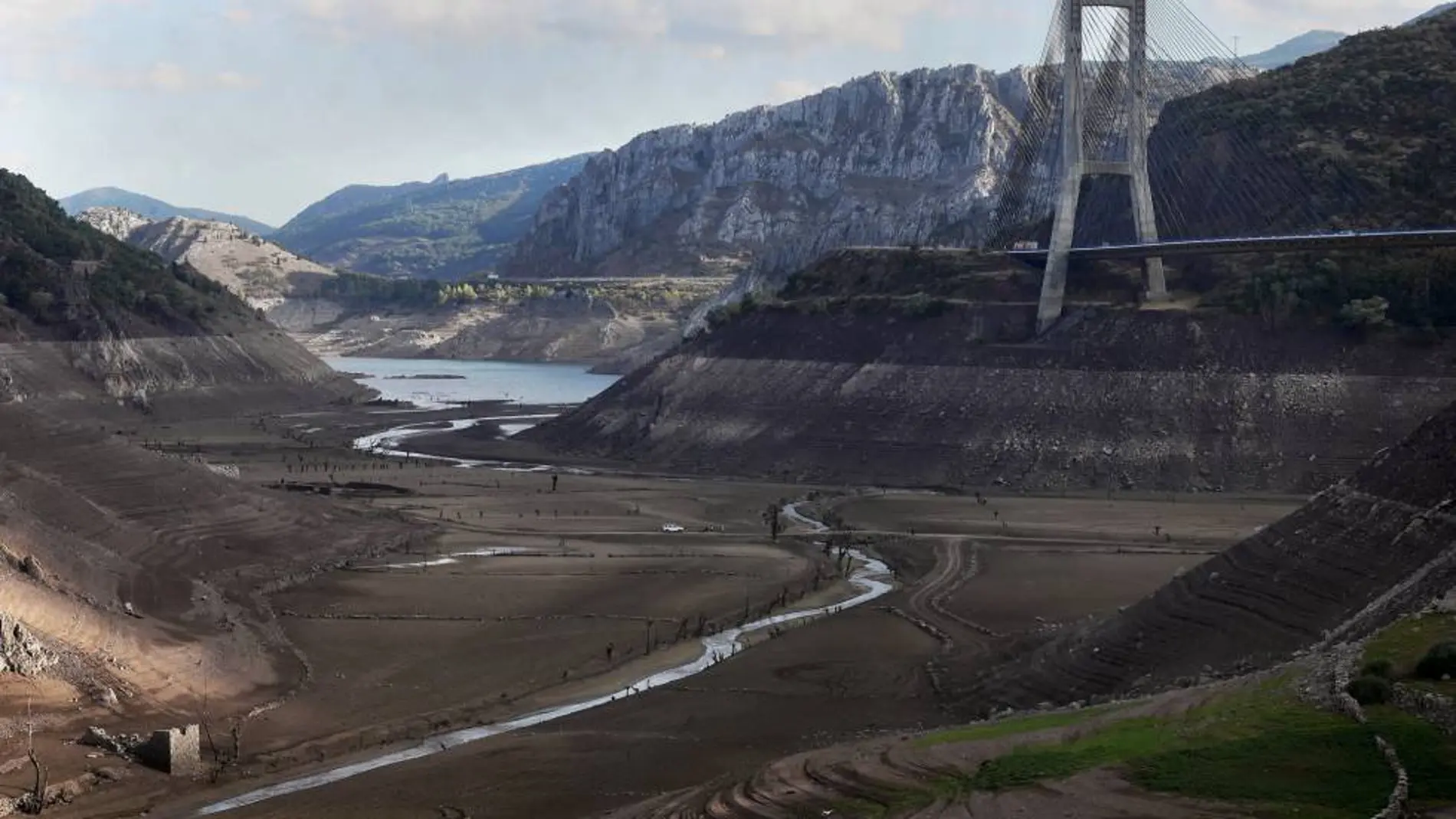 Las pérdidas por la sequía en el campo superarán los 3.000 millones este año