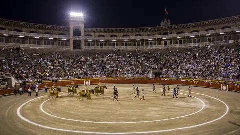 Imagen de archivo de la Plaza de Toros de Mallorca