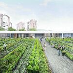 La cubierta del mercado será un huerto urbano de 1.400 metros cuadrados de superficie. El espacio tendrá cinco plantas, tres de ellas subterráneas.