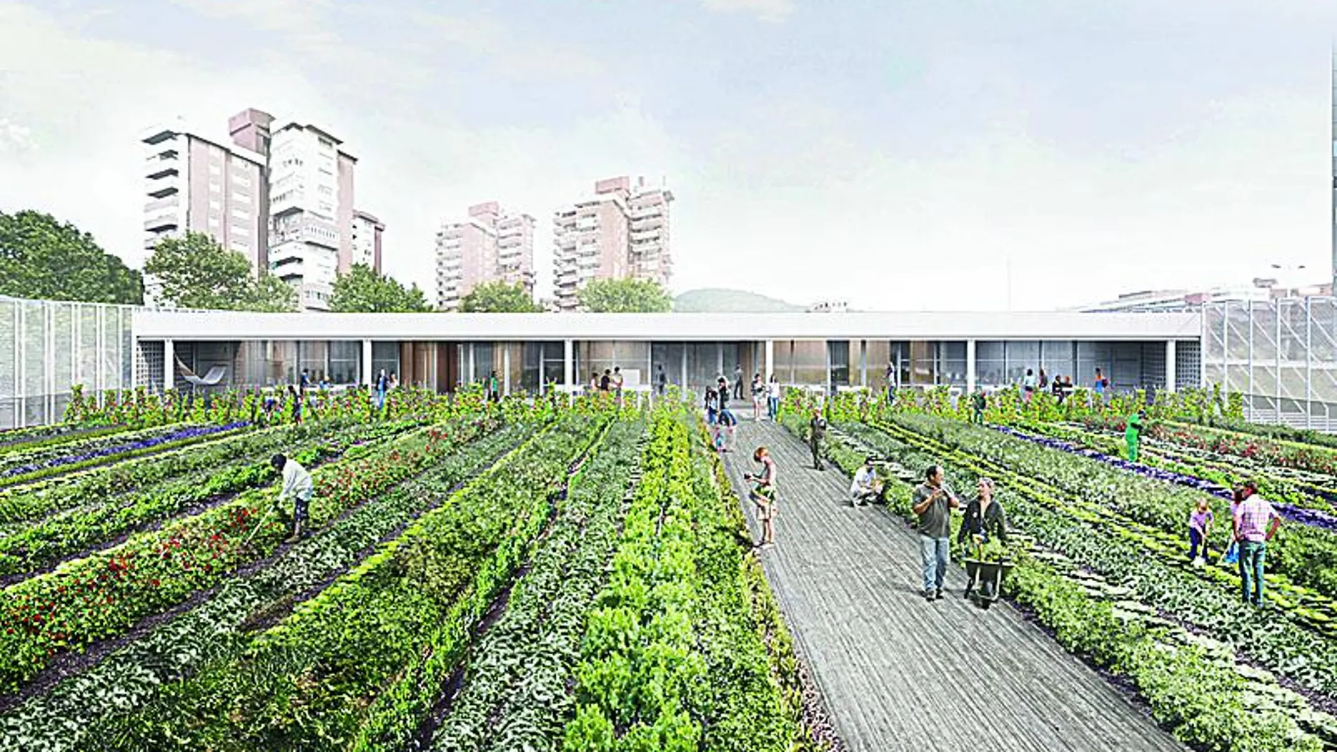 La cubierta del mercado será un huerto urbano de 1.400 metros cuadrados de superficie. El espacio tendrá cinco plantas, tres de ellas subterráneas.