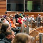 Varios trabajadores de la planta abulense asisten atentos al Pleno de las Cortes de Castilla y León