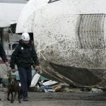 Agentes de la Policía Científica ayudados de perros prosiguen las investigaciones del tren Alvia