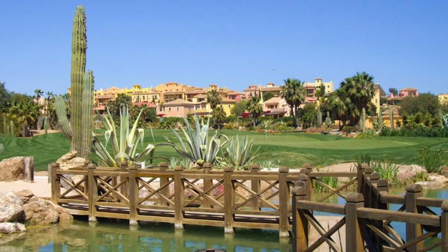 Desert Springs