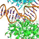 El cáncer como no se había visto nunca