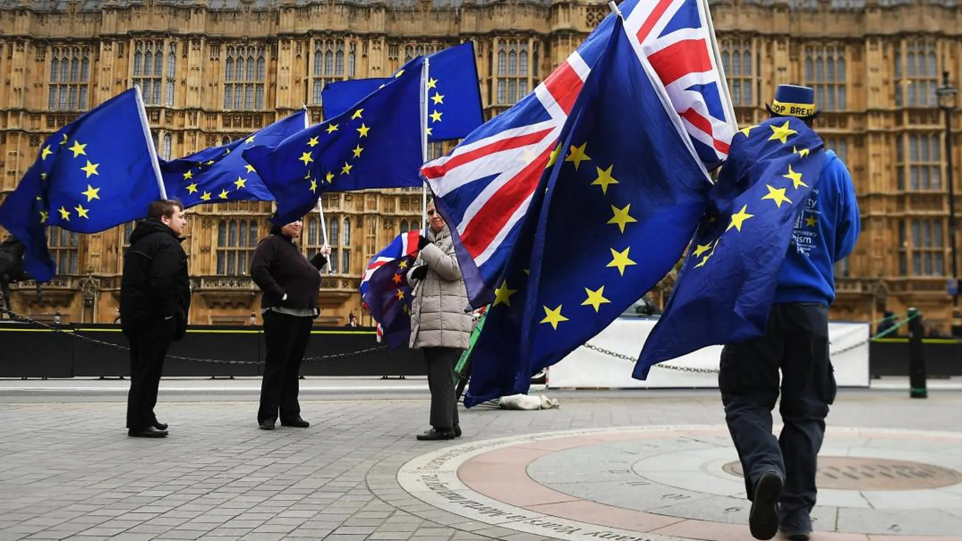 Manifestantes a favor de la Unión Europea protestan a las afueras de la Parlamento en Londres/Efe