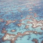 Una panorámica de la Gran Barrera de Coral
