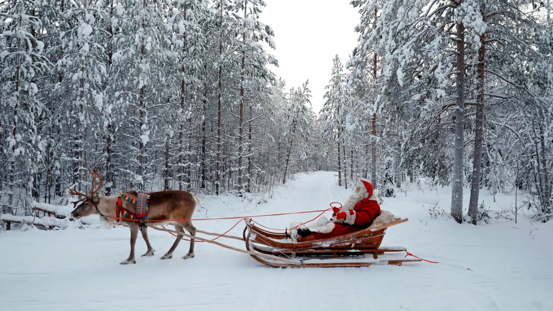 Papá Noel en su trineo / REUTERS