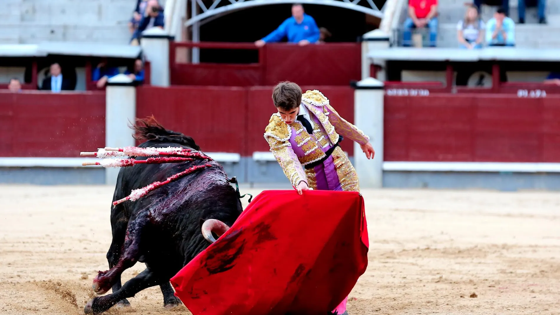 Fernando Plaza da un pase de pecho, esta tarde, en Las Ventas