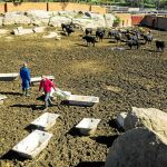 «Si respetas su espacio, los toros te respetan también. Sin embargo, nunca te puedes confiar, hay que tener un ojo en algún sitio donde subirse». Fotos: Alberto R. Roldán