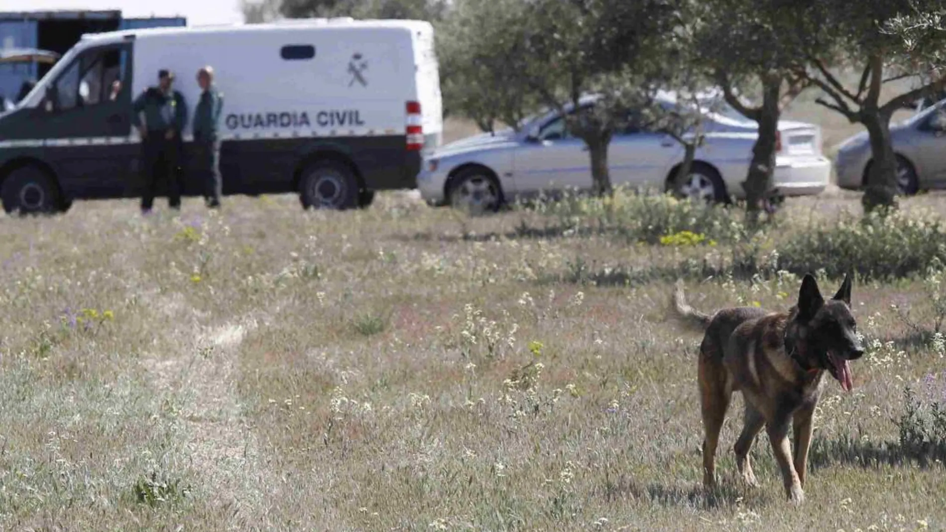 Identificado un agresor sexual gracias a las mordeduras del perro de su víctima