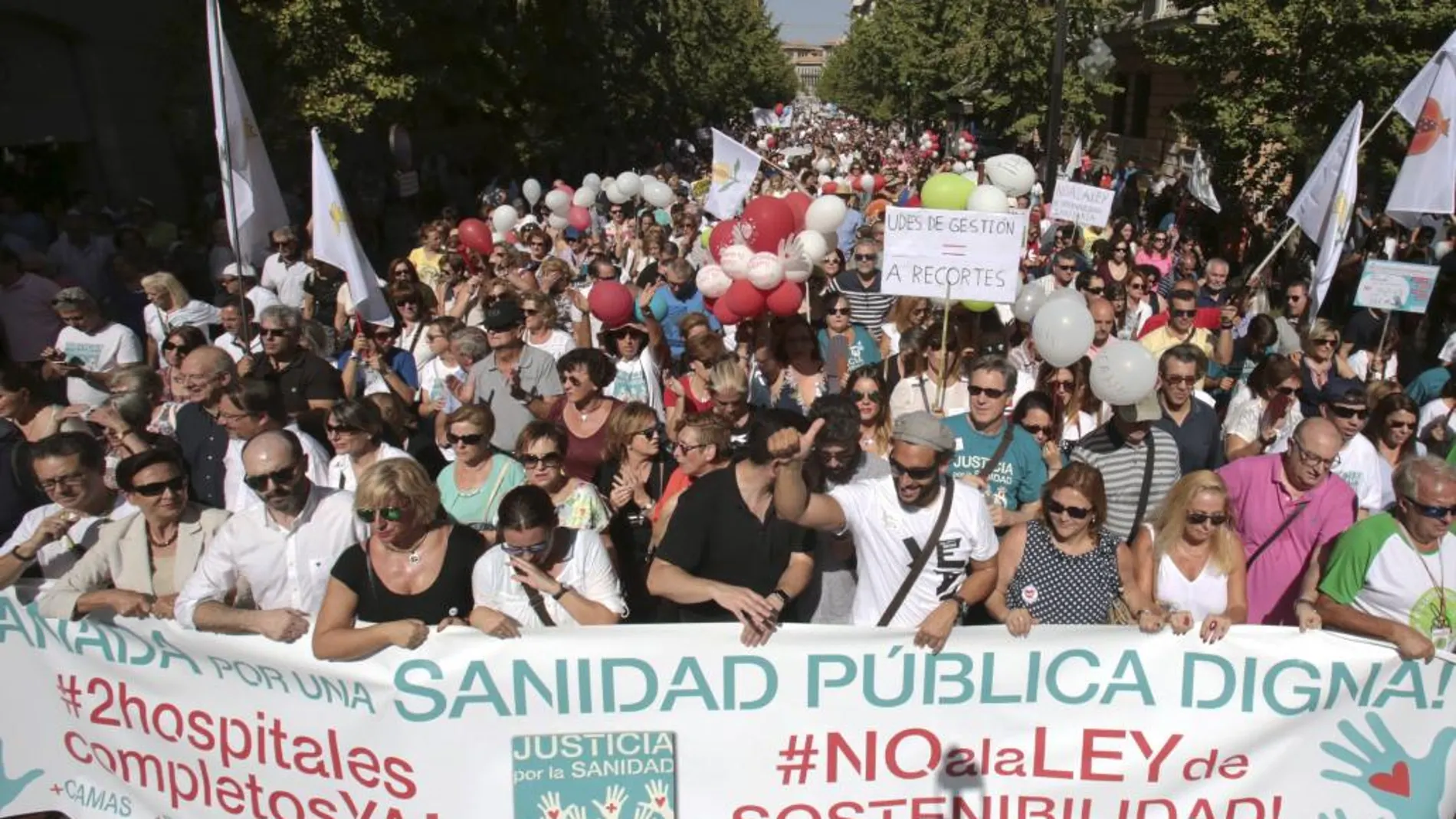 La manifestación organizada por la asociación Justicia por la Sanidad tomó durante la mañana de ayer las calles de Granada