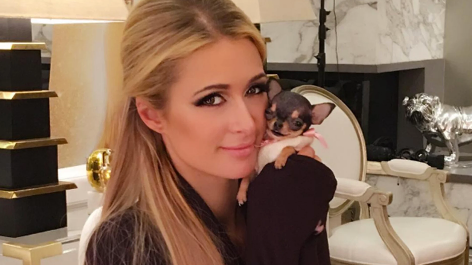 Paris Hilton se gasta 8.000 dólares en un nuevo cachorro