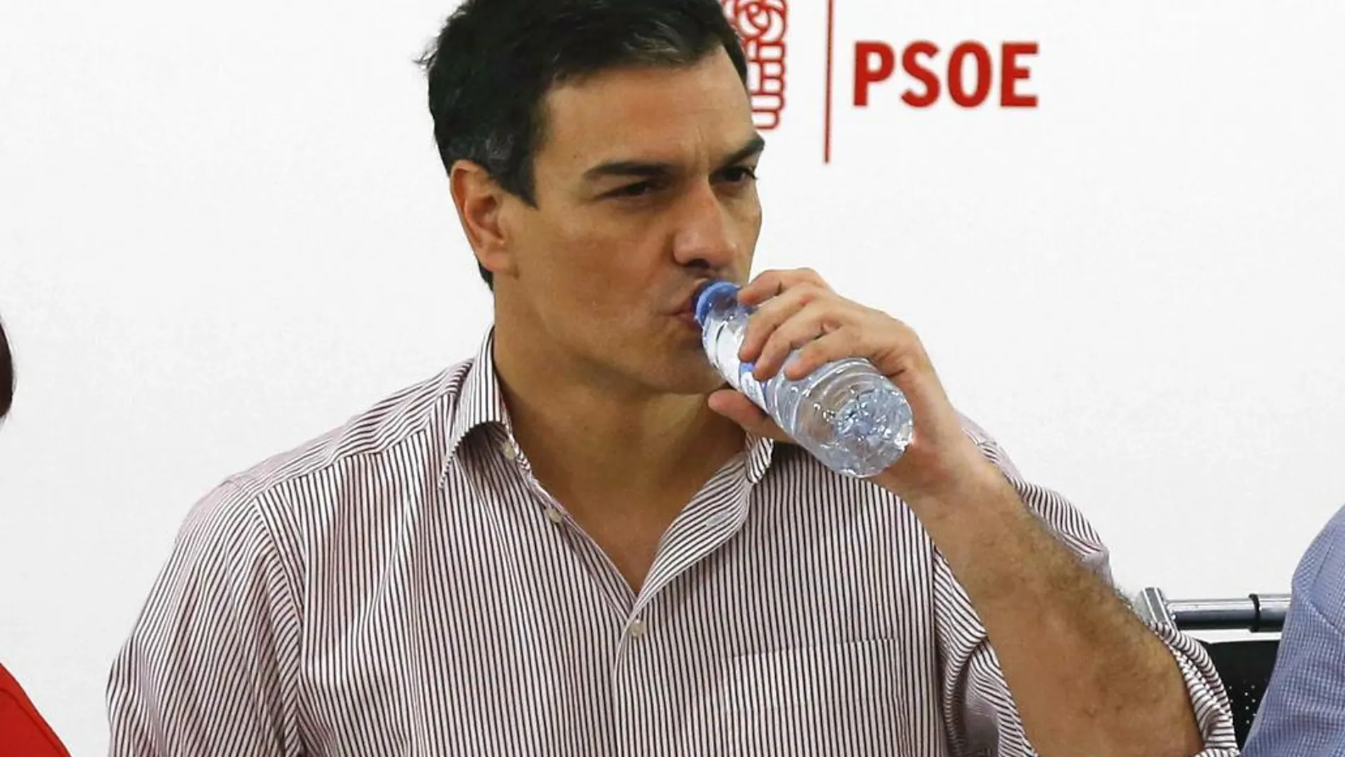 El ex secretario general del PSOE, Pedro Sánchez