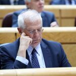 El ministro de Exteriores, Josep Borrell, en el Senado /Efe