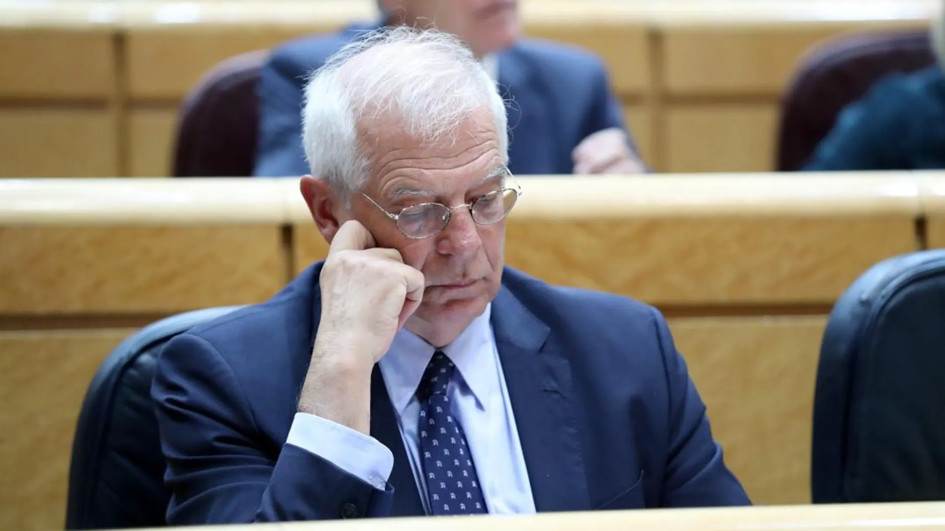 El ministro de Exteriores, Josep Borrell, en el Senado /Efe