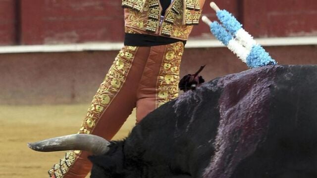 Juan José Padilla, en imagen de archivo