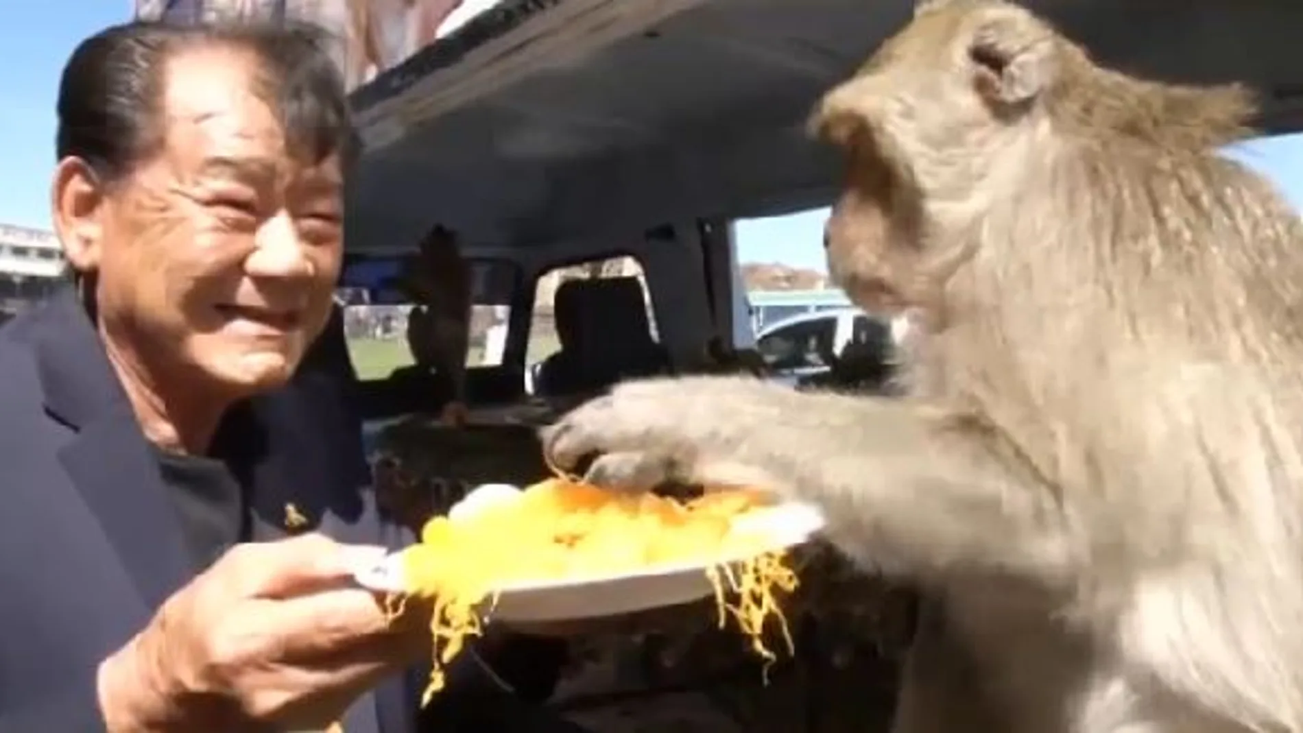 Una provincia tailandesa honra con frutas y verduras a miles de monos