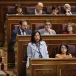 Margarita Robles, durante su intervención en el Pleno del Congreso / J. Fdez.-Largo