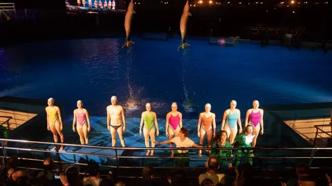 La espectacularidad de la actuación de delfines y bailarines es difícil de narrar. Este año, además, la inauguración de Las Noches contó con la presencia del cantante Roi (OT 2017) que derrochó simpatía con el público que no perdió la oportunidad de fotografiarse con él. La Razón