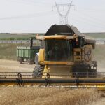 Un agricultor recoge su cosecha de trigo en Palencia