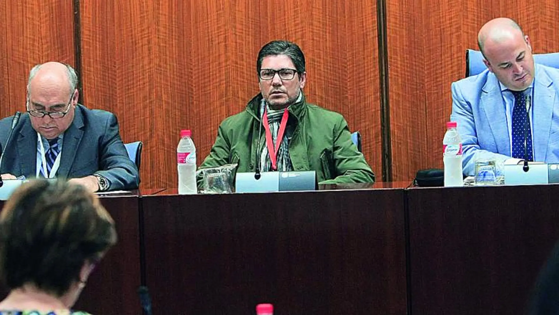 José Sivianes comparece en la Comision de Investigacion del caso Formacion
