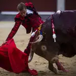  Cortés paga con sangre su heroicidad