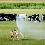 Dos niñas juegan con el agua de los aspersores mientras riegan un cultivo